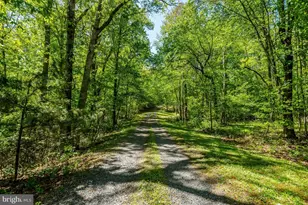 2429 Cromwell Rd, Catlett, VA 20119 - Photo 71