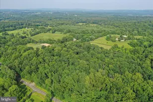 9387 Covenant Hill Ln, Marshall, VA 20115 - Photo 59