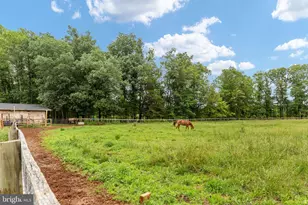 6119 Beach Rd, Midland, VA 22728 - Photo 89