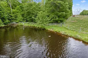 5099 Courtneys Corner Rd, Sumerduck, VA 22742 - Photo 55