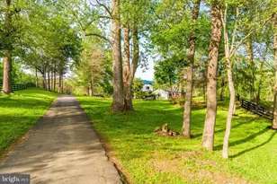 6891 Wilson Rd, Marshall, VA 20115 - Photo 117