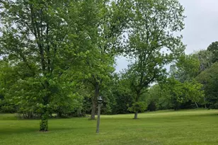 12655 Bristersburg Rd, Midland, VA 22728 - Photo 7