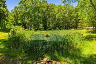 10409 Lees Mill Rd, Warrenton, VA 20186 - Photo 51