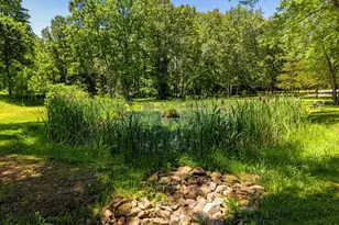 10409 Lees Mill Rd, Warrenton, VA 20186 - Photo 55