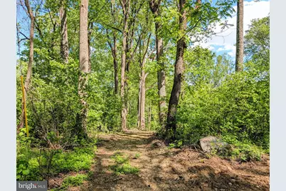 3964 Hidden Valley Lane, Linden, VA 22642 - Photo 27