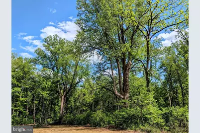 3964 Hidden Valley Lane, Linden, VA 22642 - Photo 21