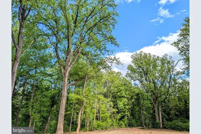3964 Hidden Valley Lane, Linden, VA 22642 - Photo 15