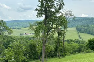 10436 John S Mosby Hwy, Paris, VA 20130 - Photo 23