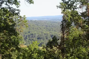 10436 John S Mosby Hwy, Paris, VA 20130 - Photo 75