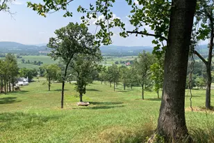 10436 John S Mosby Hwy, Paris, VA 20130 - Photo 63