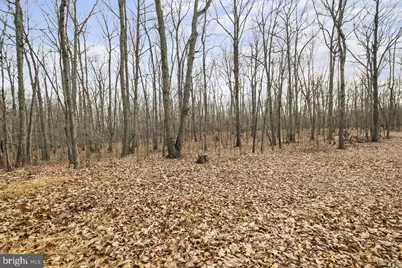 7389 Leeds Manor Road, Marshall, VA 20115 - Photo 19