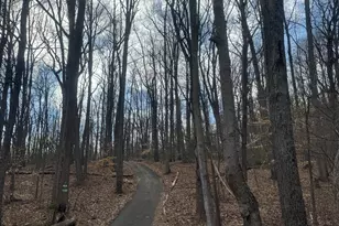 5138 Laurel Ln, Broad Run, VA 20137 - Photo 7