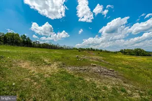 9253 Cliff Mills Rd, Warrenton, VA 20186 - Photo 43