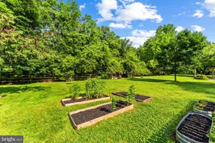 1150 Poplar Row, Upperville, VA 20184 - Photo 73