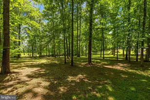 5032 Canter Ln, Warrenton, VA 20187 - Photo 5
