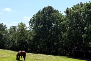 5221 Mountain View Dr, Broad Run, VA 20137 - Photo 1