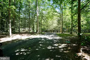 6067 Pilgrims Rest Rd, Broad Run, VA 20137 - Photo 29