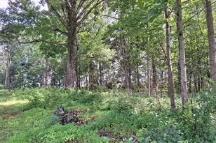 9499 Old Waterloo Rd, Warrenton, VA 20186 - Photo 13