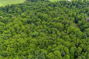 9914 Crest Ct, Marshall, VA 20115 - Photo 115