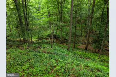 9914 Crest Court, Marshall, VA 20115 - Photo 109