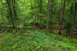 9914 Crest Ct, Marshall, VA 20115 - Photo 109