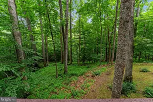 9914 Crest Ct, Marshall, VA 20115 - Photo 105