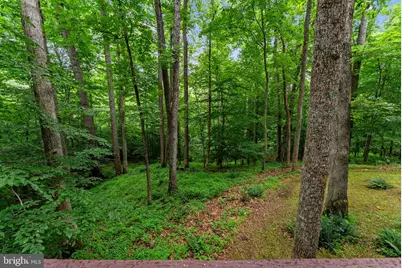 9914 Crest Court, Marshall, VA 20115 - Photo 107