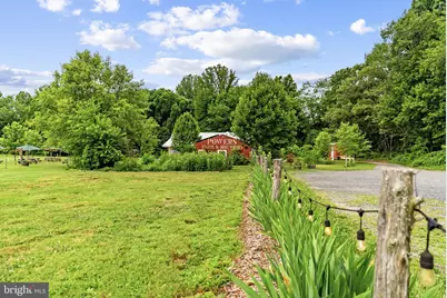 9269 Redemption Way, Midland, VA 22728 - Photo 5
