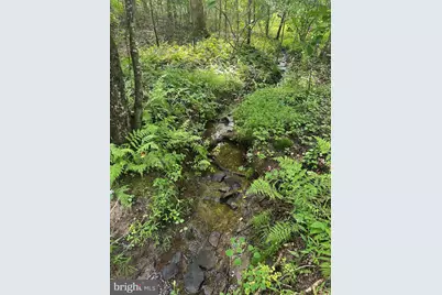 Mount Nebo Church Road, Marshall, VA 20115 - Photo 7