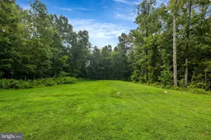 11383 Lucky Hill Rd, Bealeton, VA 22712 - Photo 55
