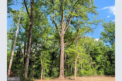 3964 Hidden Valley Lane, Marshall, VA 20115 - Photo 15