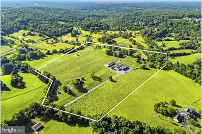 6190 Georgetown Road, Broad Run, VA 20137 - Photo 3