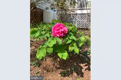 7237 Baldwin Ridge Road, Warrenton, VA 20187 - Photo 13