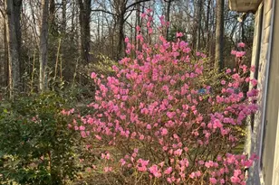 7237 Baldwin Ridge Rd, Warrenton, VA 20187 - Photo 15