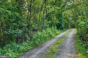 9427 Beale Ln, Midland, VA 22728 - Photo 39
