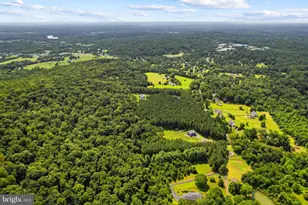 6301 Georgetown Rd, Broad Run, VA 20137 - Photo 91