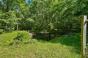 4490 Silver Hill Ct, Sumerduck, VA 22742 - Photo 29