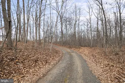 7389 Leeds Manor Road, Marshall, VA 20115 - Photo 11