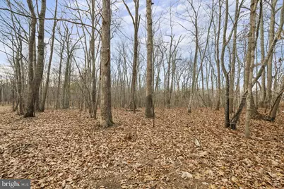 7389 Leeds Manor Rd, Marshall, VA 20115 - Photo 13