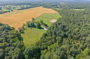 9551 Green Rd, Midland, VA 22728 - Photo 77