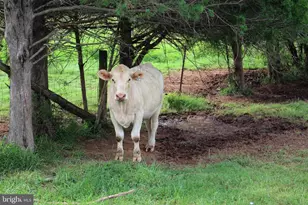 7787 Greenwich Rd, Catlett, VA 20119 - Photo 69