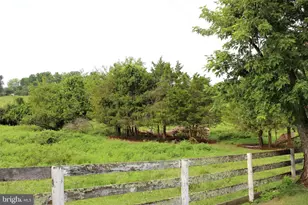 7787 Greenwich Rd, Catlett, VA 20119 - Photo 77