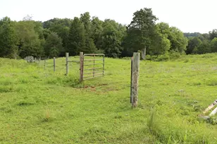 7787 Greenwich Rd, Catlett, VA 20119 - Photo 59