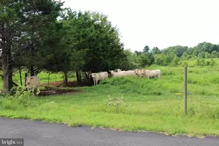 7787 Greenwich Rd, Catlett, VA 20119 - Photo 67