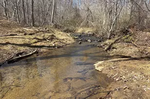 [Address not provided], Linden, VA 22642 - Photo 1