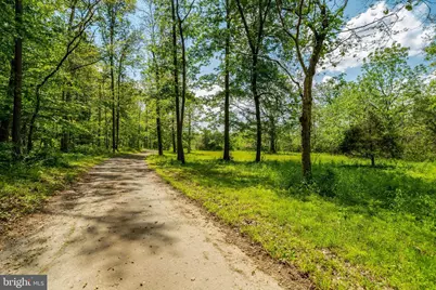 9253 Cliff Mills Road #HORSE FACILITY, Warrenton, VA 20186 - Photo 3