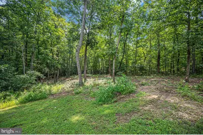 5099 Courtneys Corner Road, Sumerduck, VA 22742 - Photo 61