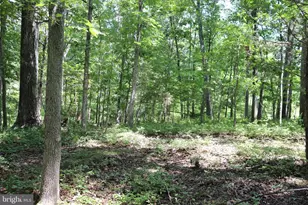 8000 Springhope Dr, Catlett, VA 20119 - Photo 97