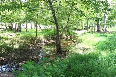 8000 Springhope Drive, Catlett, VA 20119 - Photo 79