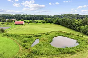 10401 Green Rd, Bealeton, VA 22712 - Photo 9